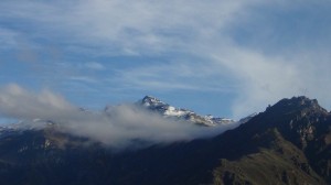 DSC09407