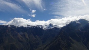 DSC09505