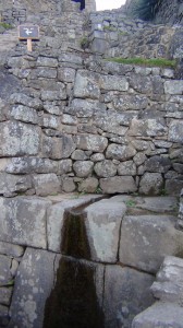 DSC09917