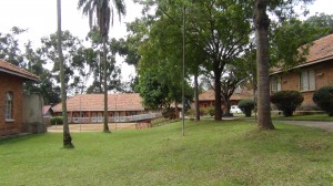 DSC01262