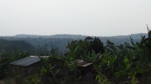 DSC01509